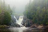 Silver Falls In Fog_03039